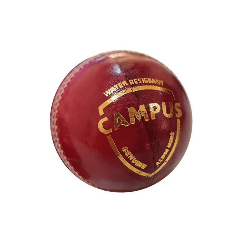 SG Campus Four Piece Leather Cricket Ball - red