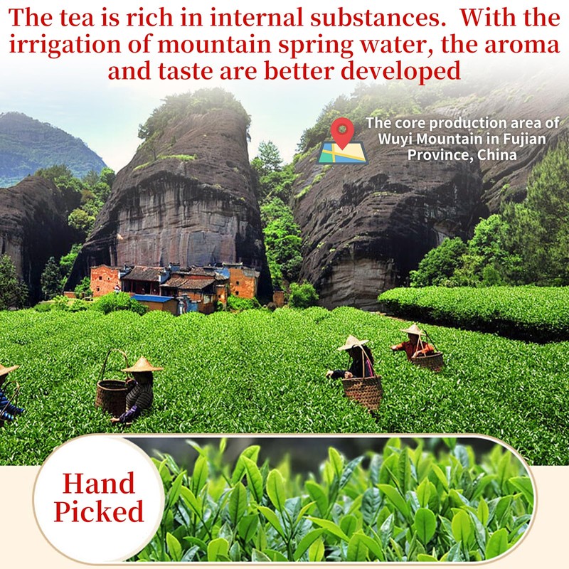 XIXICHA Dahongpao Oolong Tea Rock Tea 80g/2.82oz 8g*10bags Chinese Loose