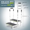 DEPSUNNY RV Steps with Dual Handrails, 2 Step Stool with