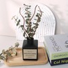 Aeeteek Reed Diffuser Set, Eucalyptus Lavender Scented Oil with Dried