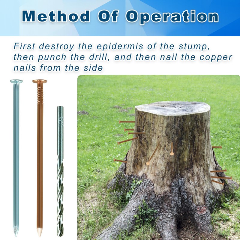 Solid Pure Copper Nails Spikes for Killing Trees Stumps Roots