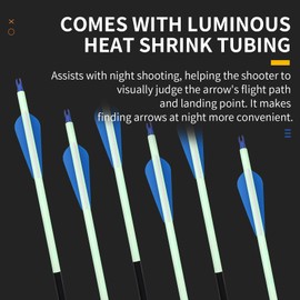 30 inch Carbon Arrow Practice Hunting Arrow, with Detachable tip, can emit Light in Dark environments After Being Exposed to Strong Light, Suitable for Composite Bows and recurve Bows (Set of 12)