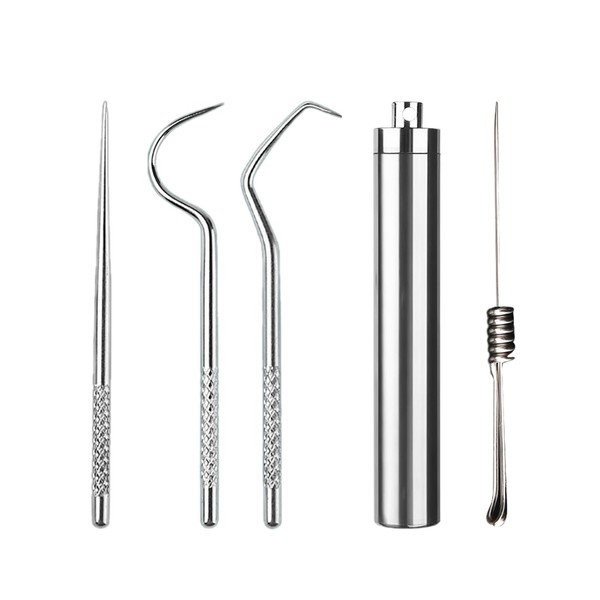 1 Set Stainless Steel Toothpicks with Toothpick Holder Reusable Floss