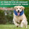 Primens Inflatable Dog / Cat Donut Cone Collar - Adjustable