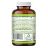 Herbal Secrets Suplemento De Senna | 500 Mg | 120