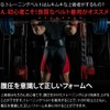 AdLife Training Belt, Nylon, Power Belt, For Beginners, Lightweight, Gym,