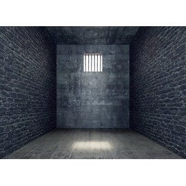 7x5ft Fabric Jail Backdrop Halloween Prison Cell Picture Mugshot Background Prison Bars Murder Crime Theme Party Gangster Party Decoations Kids Adults Photoshoot Studio Props