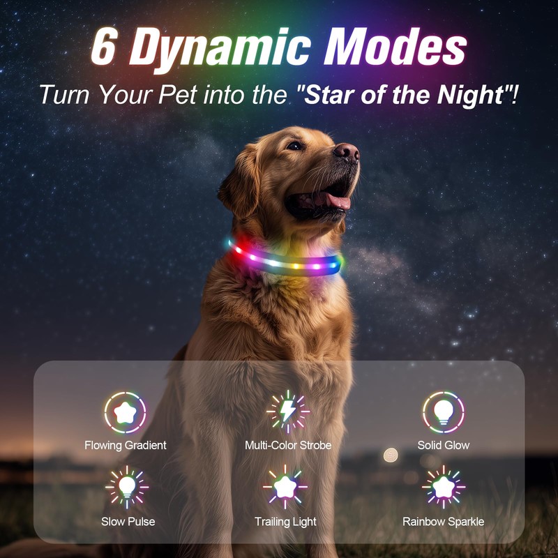 LED Dog Collar, Light Up Dog Collar, USB Rechargeable -