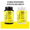 Mr Yellow 1kg Supplements Cla Carnitina 100serv Sabores