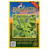 Everwilde Farms - 300 Mad-Dog Skullcap Native Wildflower Seeds -