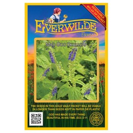 Everwilde Farms - 300 Mad-Dog Skullcap Native Wildflower Seeds - Gold Vault Seed Packet