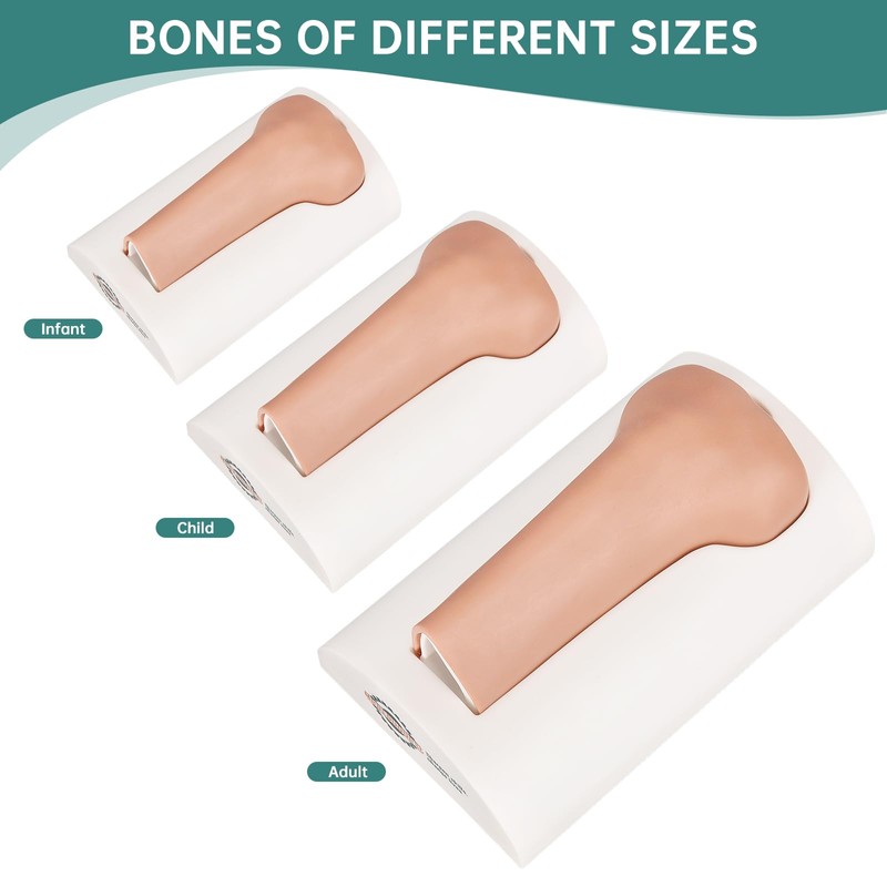 MedEduQuest Intraosseous (IO) Access Trainer, Child Intraosseous (IO) Tibia Trainer,