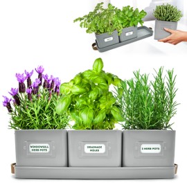 Herb Planter Indoor - Set of 3 Grey Indoor Herb Garden Pots for Plants with Leather Handled Tray - Window Sill Plant Shelf - Herb Pots with Drainage Holes and Labels