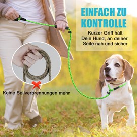 Slip Lead with Pull Stop, 1.0 x 180 cm, Retriver Dog Lead with Soft Padded Handle, Moxon Lead, Reflective Dog Lead Collar for Large Dogs (Green)
