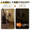 Wa-Takuryouhin Ceiling Light Small Human Detection Sensor Entrance Light Daylight
