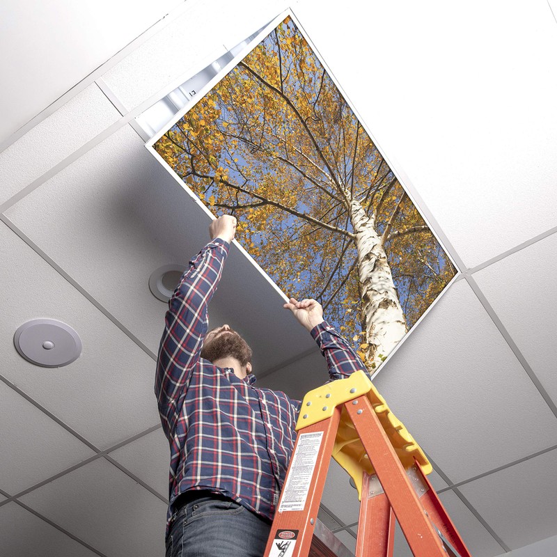 Fluorescent Light Cover for Classroom Ceiling Lights - Premium Backlit