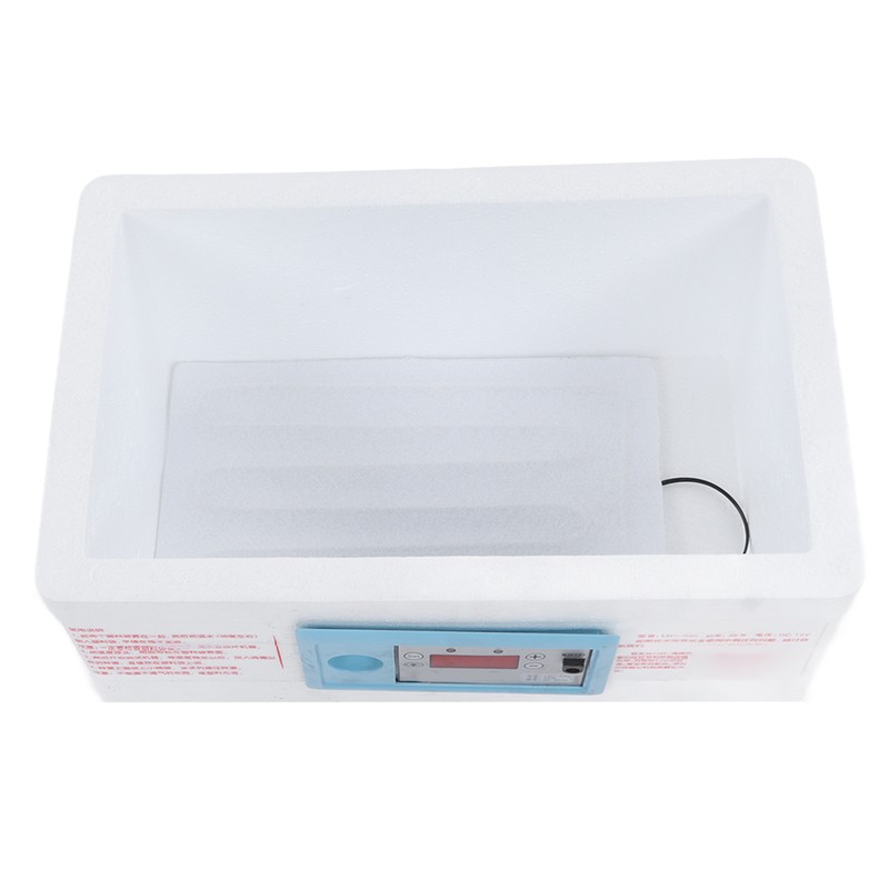 Egg Incubator Small Multifunctional Household Chicken Incubator for Hatching Chick