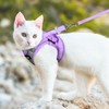 Dooradar Cat Harness and Leash Set, Escape Proof Lightweight Kitten