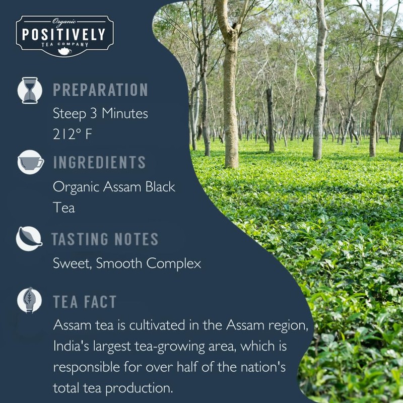 Organic Positively Tea Company, Assam Black Tea Bags, 20 Count