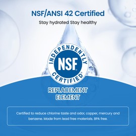 Upgraded Water Filter Replacement for Zero Pitchers and Dispenser ZR-001 ZR-004 ZP-006 ZR-017, Multi-Stage Filter System Reduce Lead, Chromium, PFOA/PFOS Contaminants and TDS,2 pack