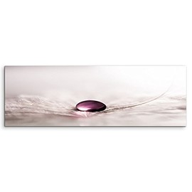 Artistic Photography Purple Water Drop On Dandelion Seeds