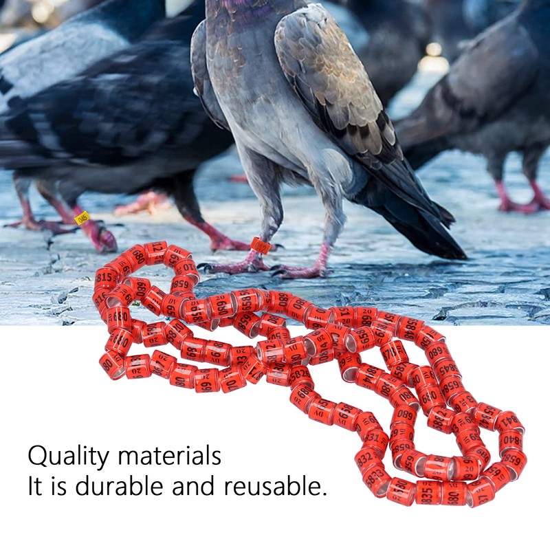 100Pcs 8mm Pigeon Leg Bands Aluminum Alloy Non Competition Recognizable