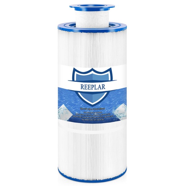 REEPLAR 6541-397 Pool Spa Filter Cartridge Compatible with Sundance Spa