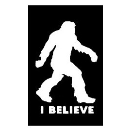 LLI I Believe Bigfoot | Decal Vinyl Sticker | Cars Trucks Vans Walls Laptop | White |5.5 x 3.7 in | LLI886