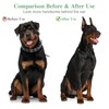 POPETPOP 2 Sets Dog Ear Posting Kit - Doberman Ear