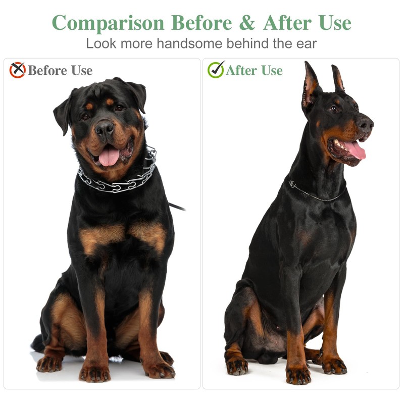 POPETPOP 2 Sets Dog Ear Posting Kit - Doberman Ear