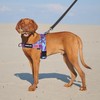 Annchwool No Pull Dog Harness with Airtag Case and Two