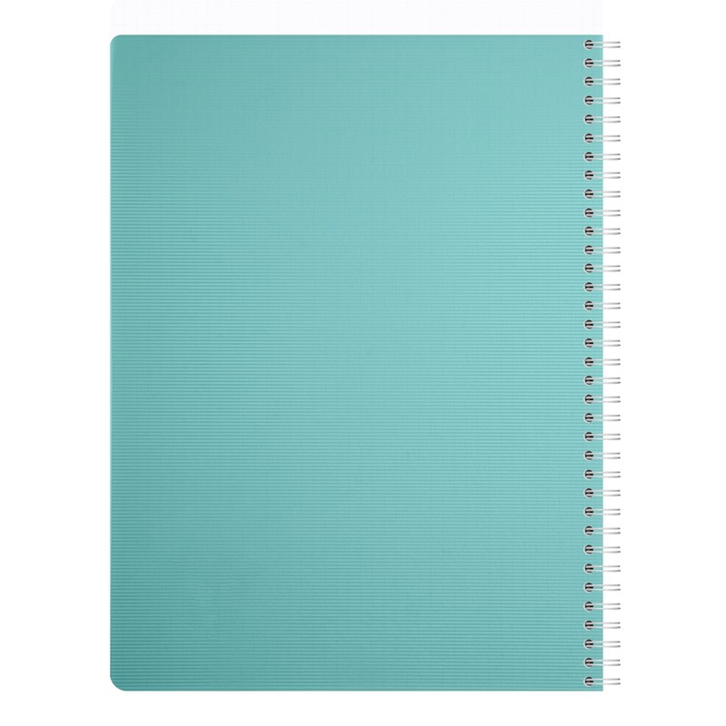 Clairefontaine 327126C Collection LiniColour ESSENCE A Spiral Notebook - A4