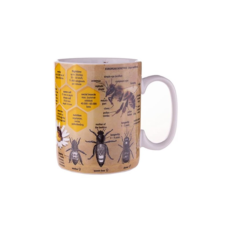 Könitz Wissensbecher Bees [EN]