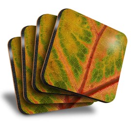 Destination Vinyl ltd Great Coasters (Set of 4) Square - Orange Green Leaf Macro Image Drink Glossy Coasters/Tabletop Protection for Any Table Type #45940