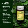 Black Cumin Oil Capsules Pack of 90 | Cold-Pressed Egyptian