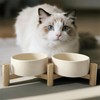 homish Pets Food and Water Ceramic Bowls 2 Bowls with