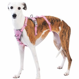 Huntboo Safety Harness Dog Escape Proof, Panic Harness for Dogs, Anti-Pull Dog Harness, Reflective, Adjustable, Lightweight Vest for Small, Medium and Large Pets (Pink, M)