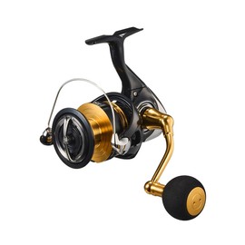 Daiwa LT6000D-H Spinning Reel, 23 Legalis