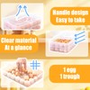 2-Layer Deviled Egg Carrier with Lid,Deviled Egg Trays with Handle,Stack
