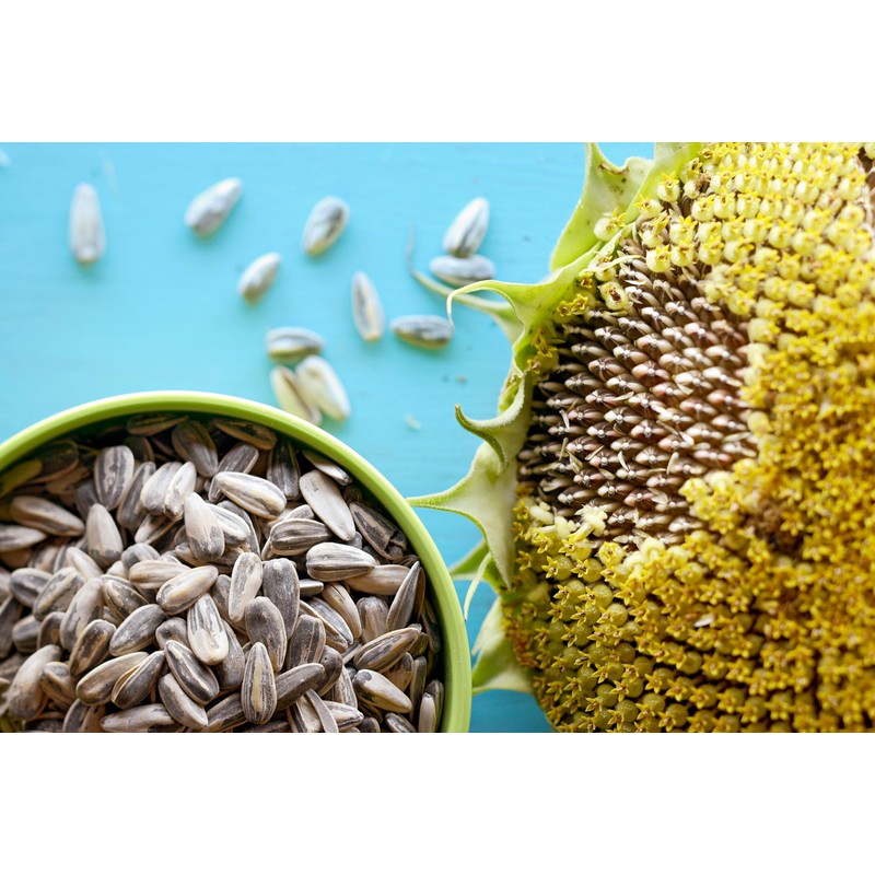 Meray Dakota Roasted and Salted Sunflower Seeds, 250G