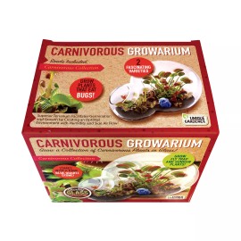 Unique Gardener New - Unique Gardener Double Sphere Glass Terrarium - Carnivorous Growarium