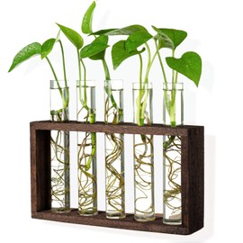 PACDONA Plant Terrarium Holder with 5 Test Tube Propagation Station Planter Glass Vase Rack with Wood Stand Tabletop Terrarium for Propagating Hydroponic Plants Home Office Decoration, Brown