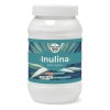 Inulina Prebiótica 320g Pasiguaro Polvo Sin Sabor Vegana Sin Gluten