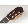 Musiclily Pro 3 on a Plate Lyra Style Classical Guitar