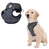 Ninja Dog Harness (Navy, Small)