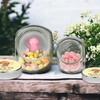 Mr. & Mrs. Panda Personalisiertes Bonbonglas Spinne Agathe Teddy XL