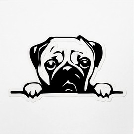 Decal Stickers of Pug Peeking Premium Indoor (No Waterproof) Vinyl Decal Stickers for Laptop Phone Accessory Helmet Car Window Mug Tuber Cup Door Wall Decoration ANDVER3526210BL