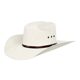 Twister Twister 5X Natural 4" Brim with Eyelets Straw Cowboy Hat Natural 75/8