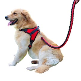 OTOKU Harness with Lead, Collar, Dogs, Cats, Small, Medium, Large, Lightweight, Safe, Breathable, Easy to Wear, Adjustable, Night Reflective, Going Out, Walking, Walking Assistance, Multiple Colors,