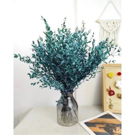 Oning 20+ Small Branches Real Dried Blue Eucalyptus Stems - 4.5 OZ 16'' Preserved Live Eucalyptus Leaves for Shower Hanging, Fresh Italian Ruscus Bundle, Flower Bouquet Arrangement